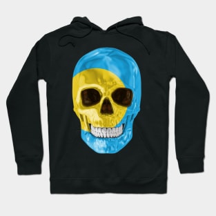 Palau Flag Skull - Gift for Palauan With Roots From Palau Hoodie